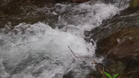 Beautiful clear river flow with fresh water moving gently over natural stones Stock-Footage 331694236