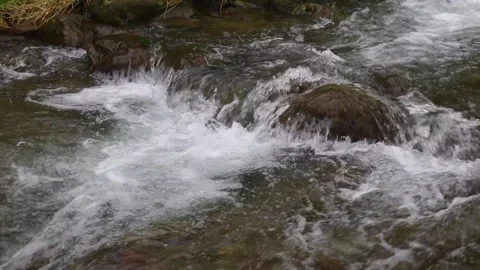 Beautiful clear river flow with fresh water moving gently over natural stones Stock-Footage 331694237
