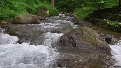 Beautiful clear river flow with fresh water moving gently over natural stones Stock-Footage 331694259