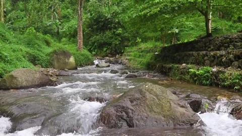 Beautiful clear river flow with fresh water moving gently over natural stones Stock-Footage 331694261