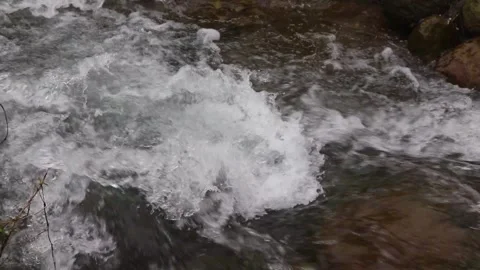 Beautiful clear river flow with fresh water moving gently over natural stones Stock-Footage 331694314