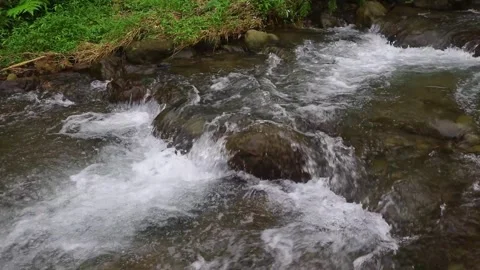 Beautiful clear river flow with fresh water moving gently over natural stones Stock-Footage 331694358