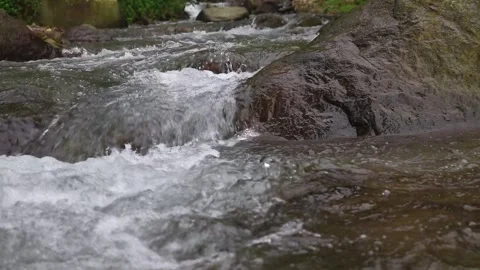 Beautiful clear river flow with fresh water moving gently over natural stones Stock-Footage 331694359