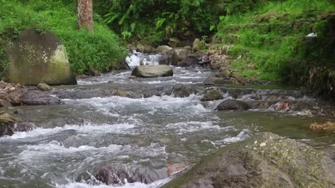 Beautiful clear river flow with fresh water moving gently over natural stones Stock-Footage 331694386