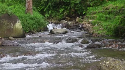 Beautiful clear river flow with fresh water moving gently over natural stones Stock-Footage 331694387