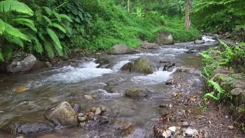 Beautiful clear river flow with fresh water moving gently over natural stones Stock-Footage 331694461