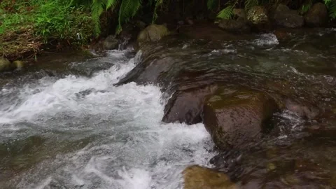 Beautiful clear river flow with fresh water moving gently over natural stones Stock-Footage 331694517