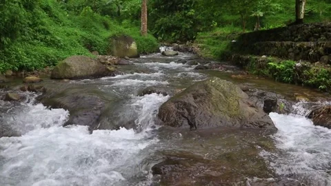 Beautiful clear river flow with fresh water moving gently over natural stones Stock-Footage 331694518