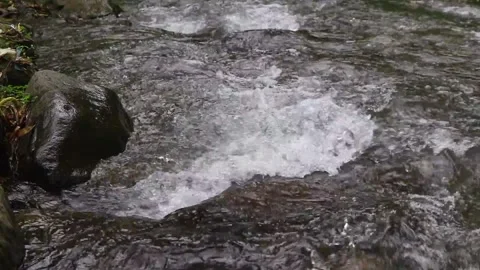 Beautiful clear river flow with fresh water moving gently over natural stones Stock-Footage 331694539