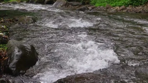Beautiful clear river flow with fresh water moving gently over natural stones Stock-Footage 331694540
