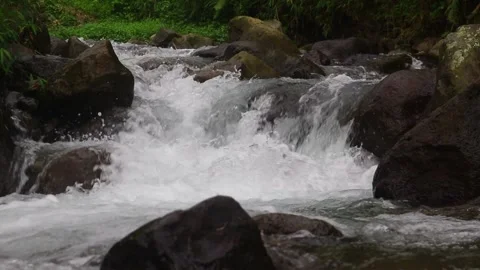 Beautiful clear river flow with fresh water moving gently over natural stones Stock-Footage 331694706