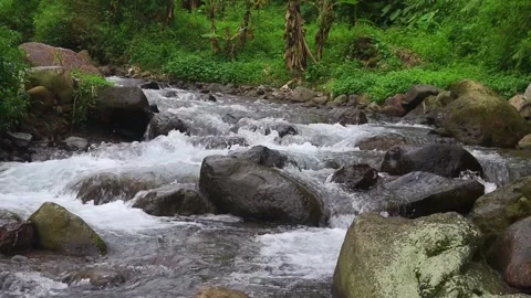 Beautiful clear river flow with fresh water moving gently over natural stones Stock-Footage 331694707