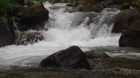 Beautiful clear river flow with fresh water moving gently over natural stones Stock-Footage 331694790
