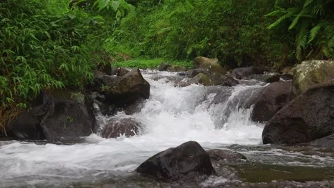 Beautiful clear river flow with fresh water moving gently over natural stones Stock-Footage 331694791