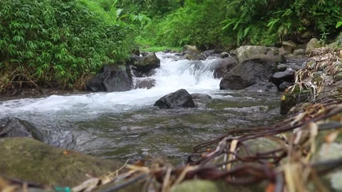 Beautiful clear river flow with fresh water moving gently over natural stones Stock-Footage 331694792