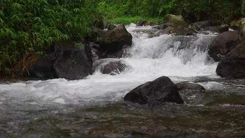 Beautiful clear river flow with fresh water moving gently over natural stones Stock-Footage 331694793
