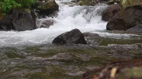 Beautiful clear river flow with fresh water moving gently over natural stones Stock-Footage 331695099