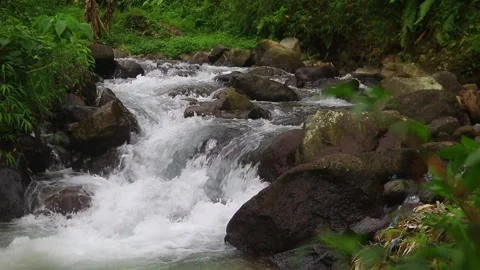 Beautiful clear river flow with fresh water moving gently over natural stones Stock-Footage 331695100