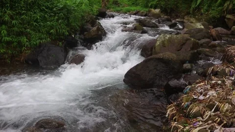 Beautiful clear river flow with fresh water moving gently over natural stones Stock-Footage 331695101