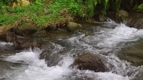 Beautiful clear river flow with fresh water moving gently over natural stones Stock-Footage 331695277