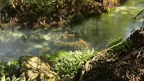 Beautiful clear river inside a mangroove jungle 스톡 동영상 104039727