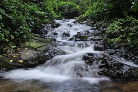 Beautiful clear river Stock Photos