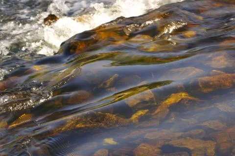 Beautiful Clear Stream 写真素材