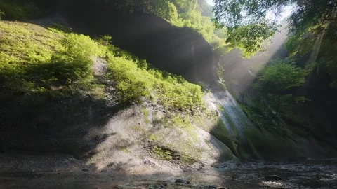Beautiful Clear Water and Sunlight in Japan Stock Footage 336896285