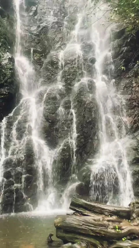 Beautiful clear waterfall vertical image video Stock Footage 149212710