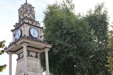Beautiful clock tower and pigeons in Istanbul, Turkey. Stock Photos