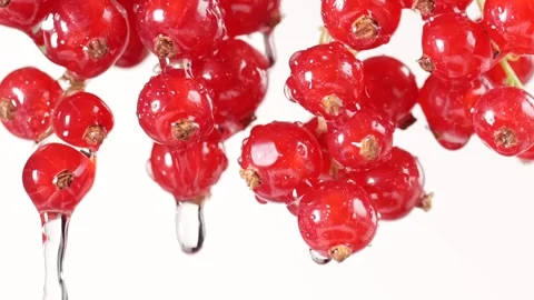 Beautiful close-up of a red currant cluster with water flowing over the ber.. Stock Footage 312976746
