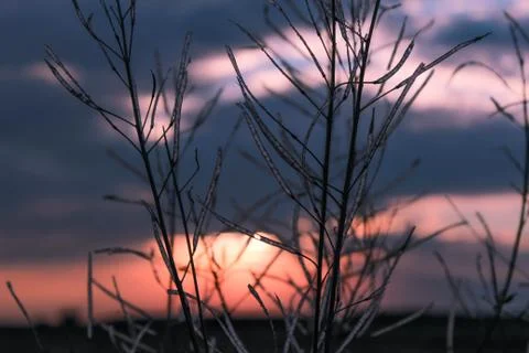 Beautiful cloud composition. Stock Photos