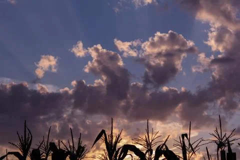 Beautiful cloud composition. Foto stock