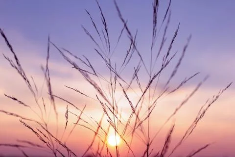 Beautiful cloud composition. Stock Photos