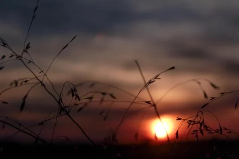 Beautiful cloud composition. Stock Photos