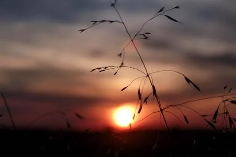 Beautiful cloud composition. Stock Photos