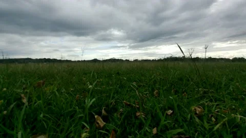 Beautiful cloud in the fields Video stock 222344156