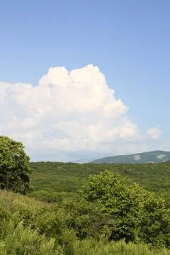 The beautiful cloud has hung over wood Stock Photos