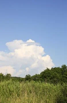The beautiful cloud has hung over wood Stock Photos