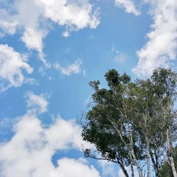 Beautiful cloud panorama Stock Photos