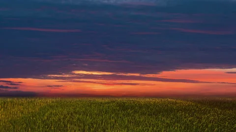 The beautiful cloud stream above a green field Stock-Footage 106847927