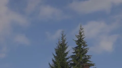 Beautiful clouds above the pine Vídeos de archivo 12174195
