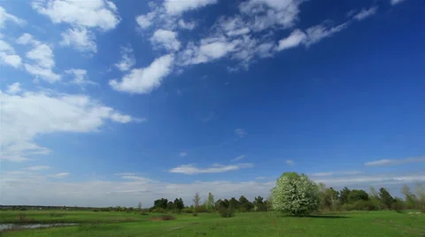 Beautiful clouds and blossoming tree. Time lapse Video stock 38325512