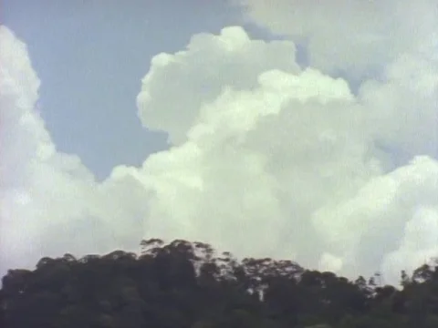 Beautiful clouds and green trees on a sunny day Stock Footage 79880005