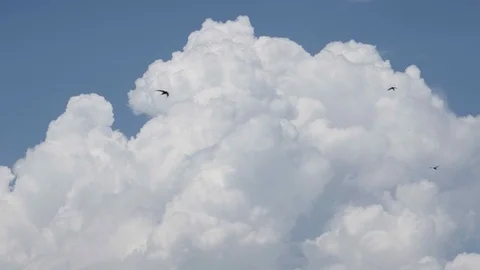 Beautiful clouds and swallows fly everywhere Stock Footage 110796830