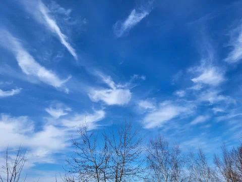 Beautiful clouds during spring time in a Sunny day. Blue sky and white fluffy Fotos de archivo