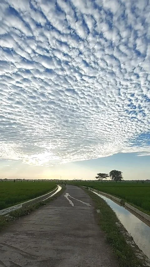 Beautiful clouds Stock Footage 241427833
