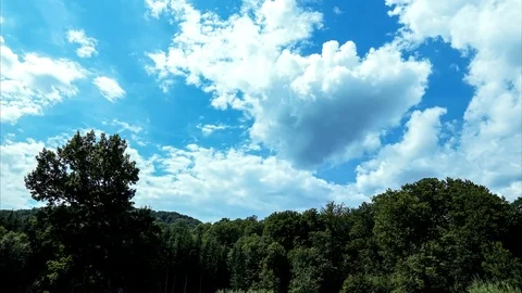 Beautiful clouds over forest, timelapse 4K video Stock Footage 113110299