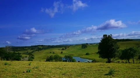 Beautiful Clouds Over the Green Field Small Lake, Cows Grazing Timelapse Qu.. Stock Footage 75461364