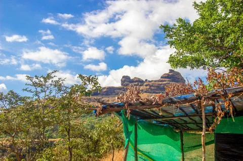 Beautiful clouds Stock Photos